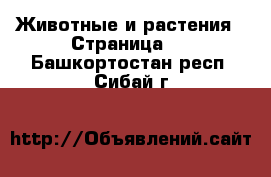  Животные и растения - Страница 2 . Башкортостан респ.,Сибай г.